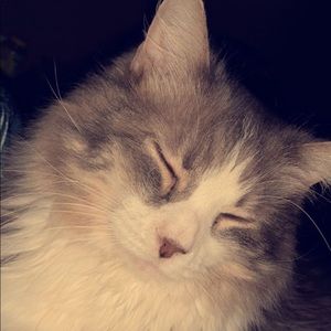 Meet your Posher, Logan